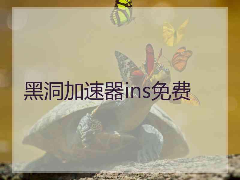 黑洞加速器ins免费