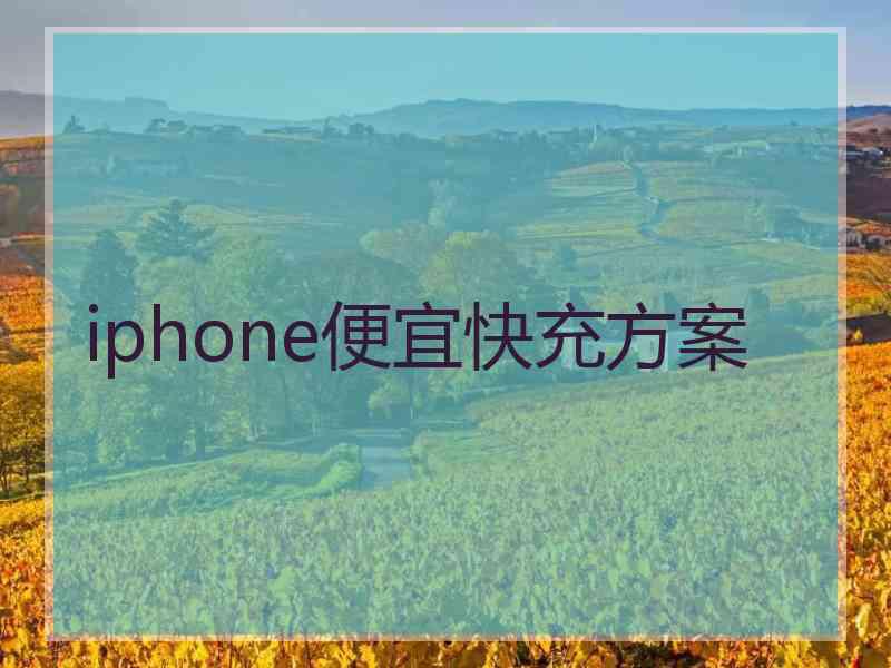 iphone便宜快充方案