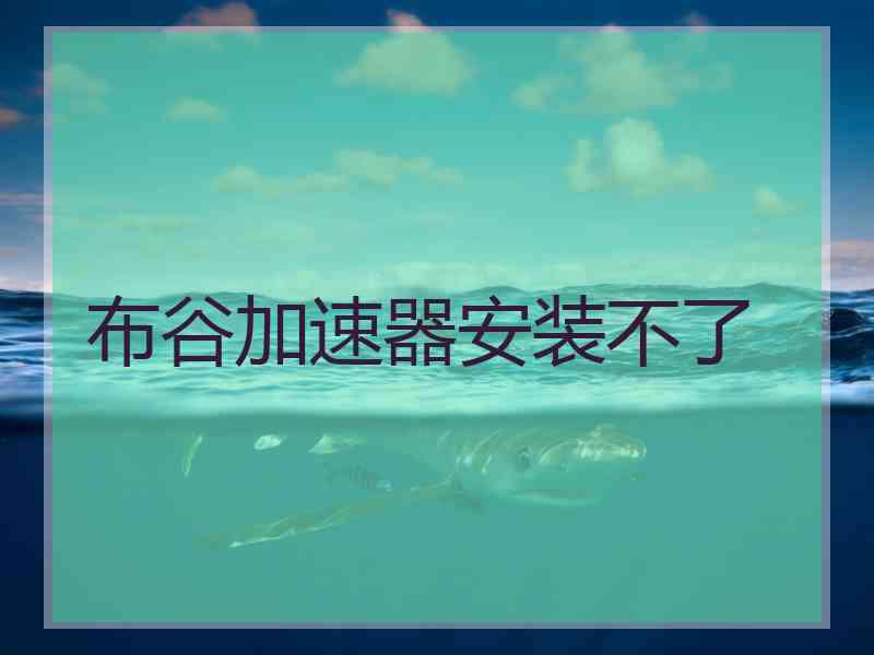 布谷加速器安装不了