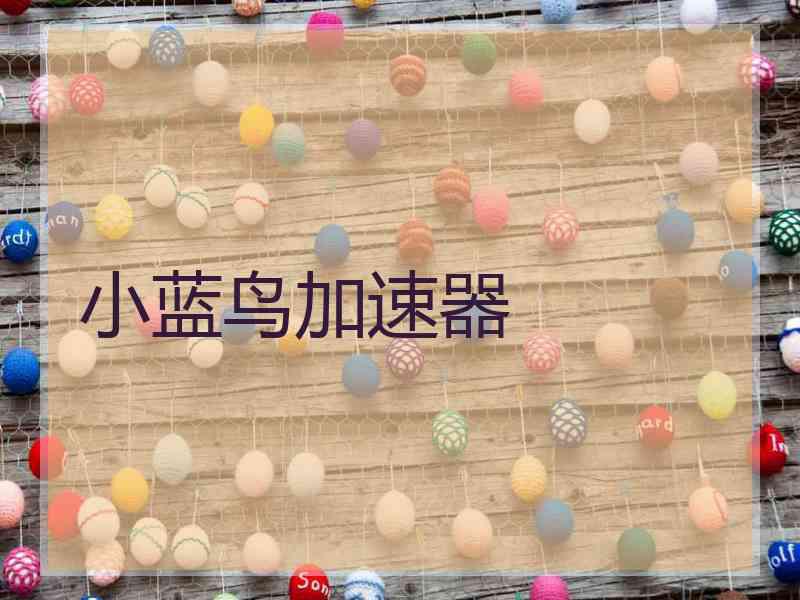 小蓝鸟加速器