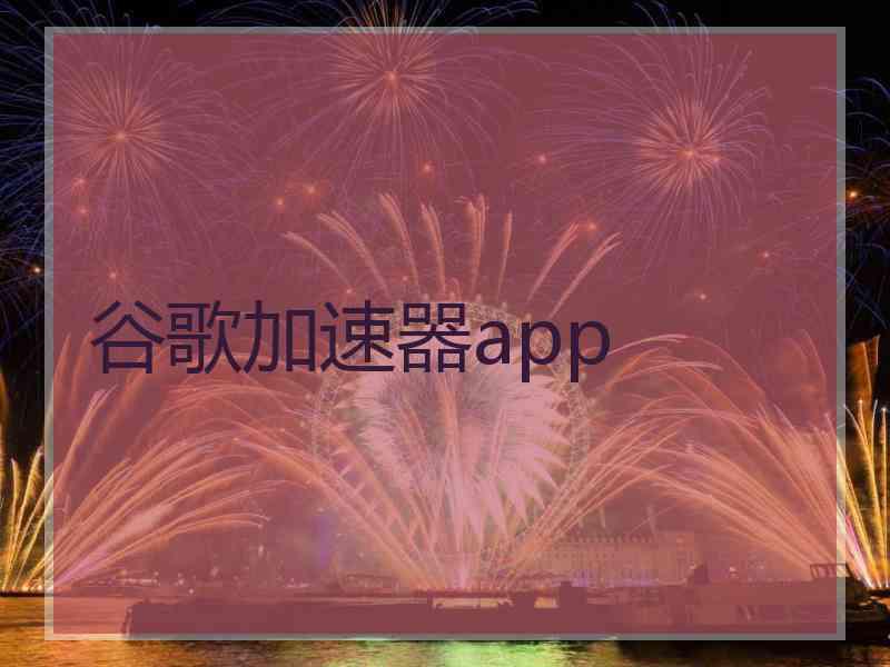 谷歌加速器app