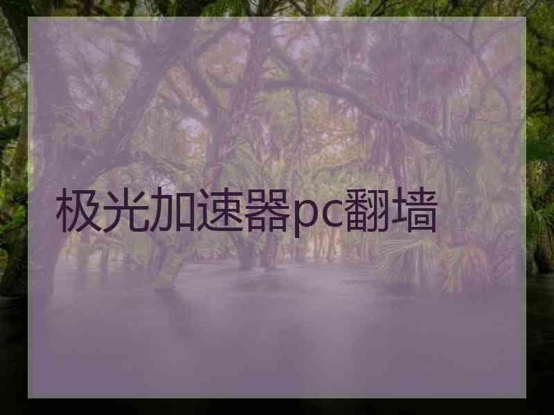 极光加速器pc翻墙