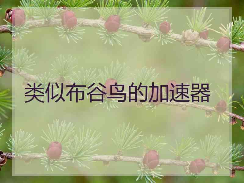 类似布谷鸟的加速器
