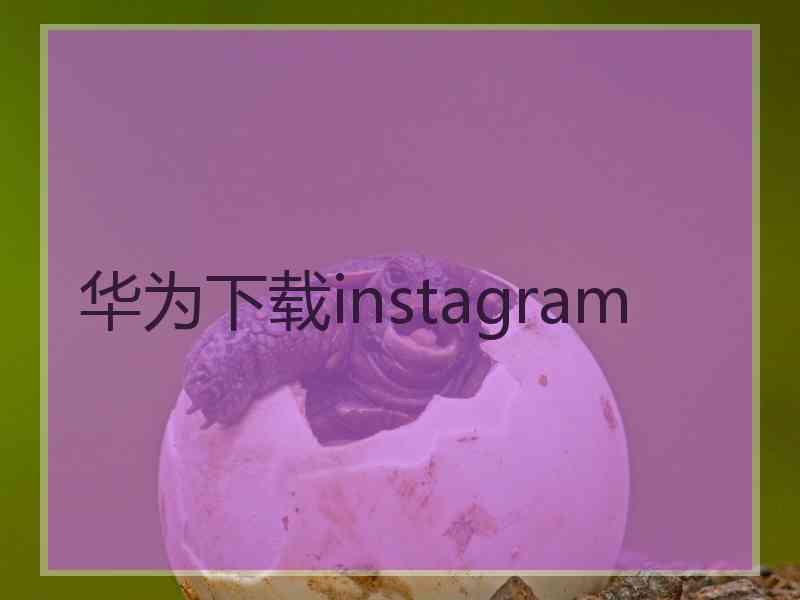 华为下载instagram