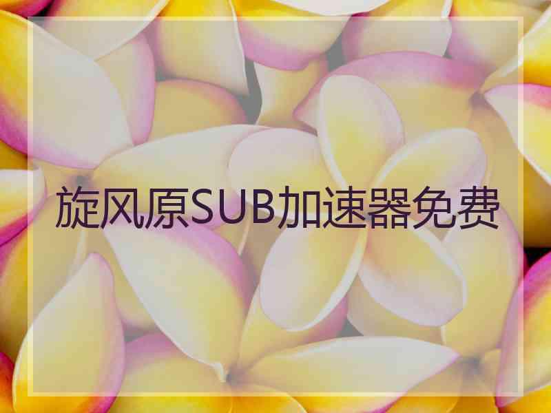 旋风原SUB加速器免费