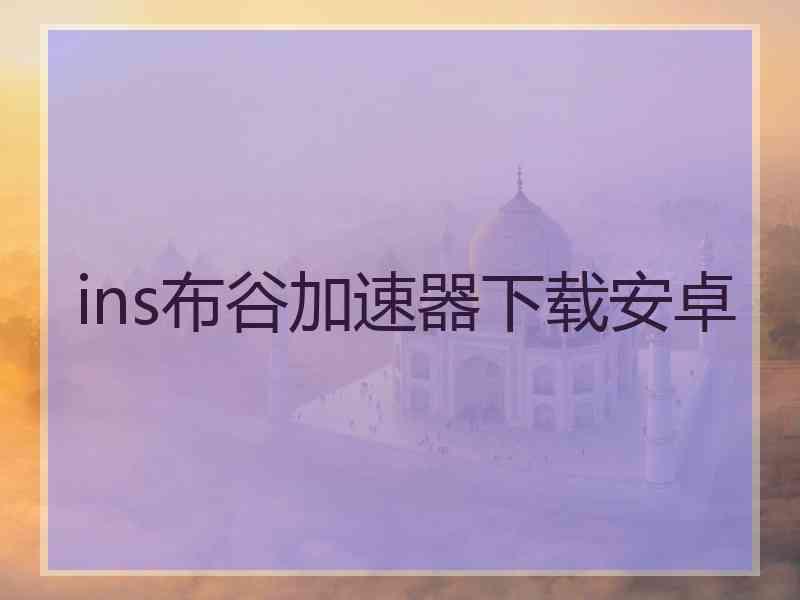 ins布谷加速器下载安卓