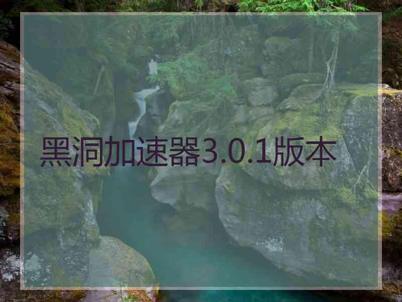 黑洞加速器3.0.1版本