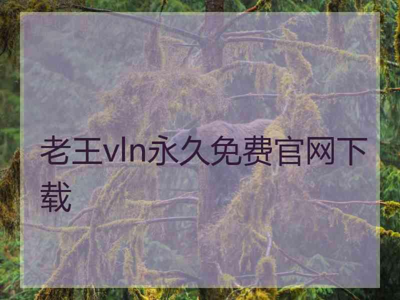 老王vln永久免费官网下载