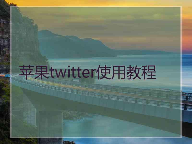 苹果twitter使用教程