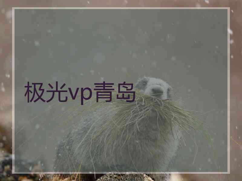 极光vp青岛