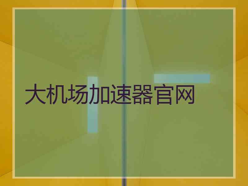 大机场加速器官网