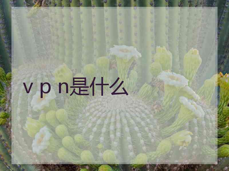 v p n是什么