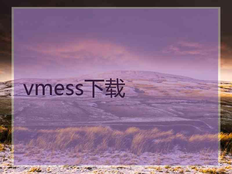 vmess下载