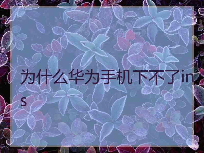 为什么华为手机下不了ins