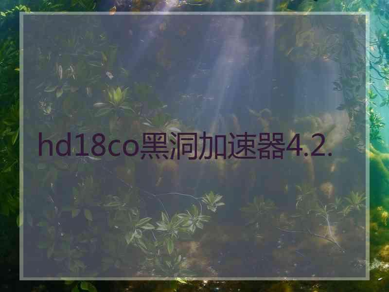 hd18co黑洞加速器4.2.