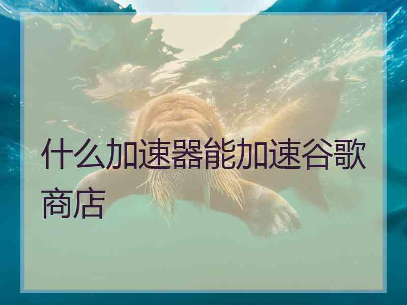 什么加速器能加速谷歌商店
