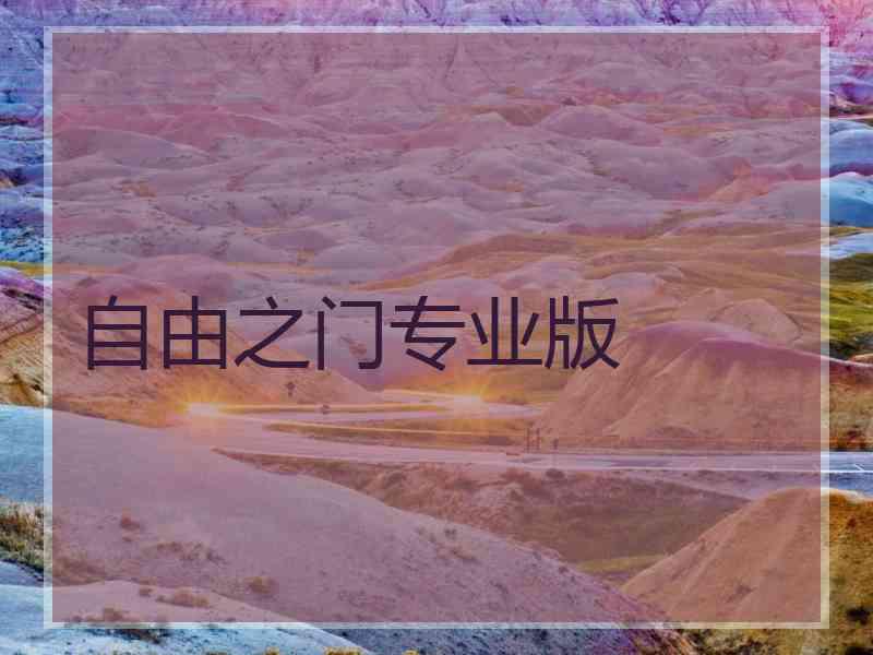 自由之门专业版