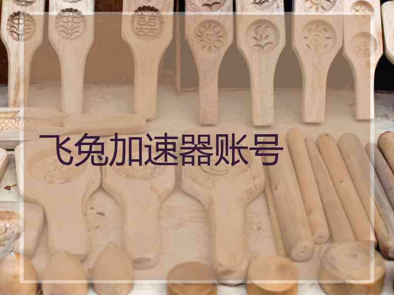 飞兔加速器账号