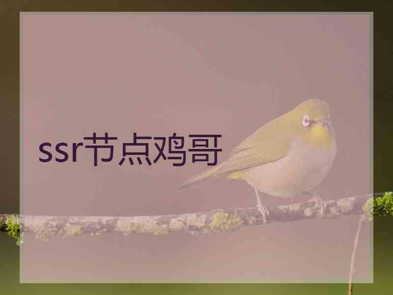 ssr节点鸡哥