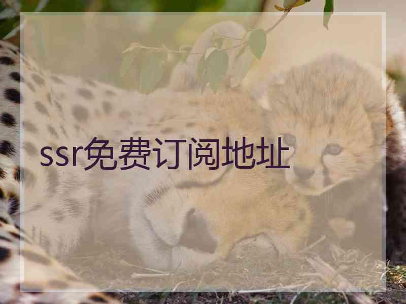 ssr免费订阅地址