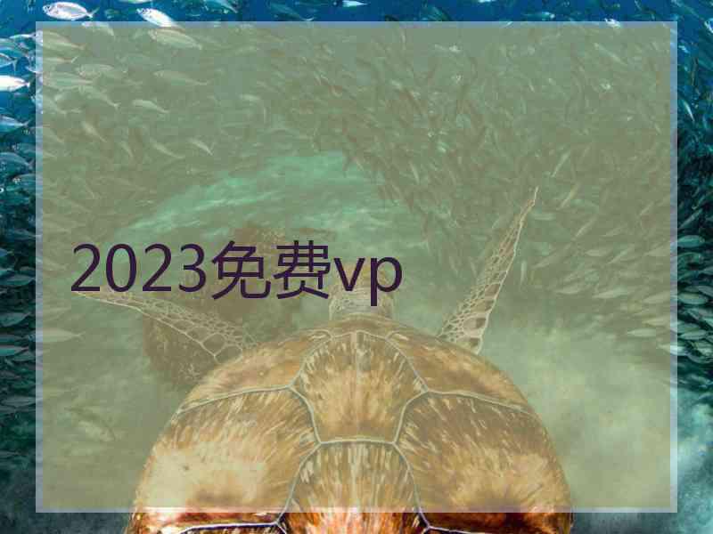 2023免费vp