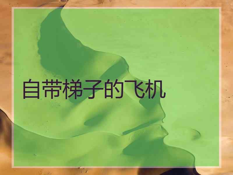 自带梯子的飞机