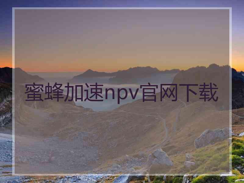 蜜蜂加速npv官网下载