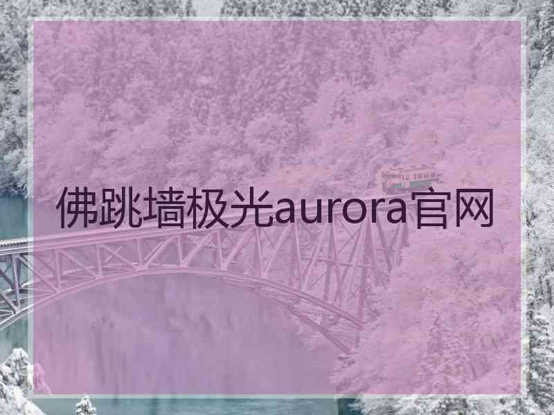 佛跳墙极光aurora官网