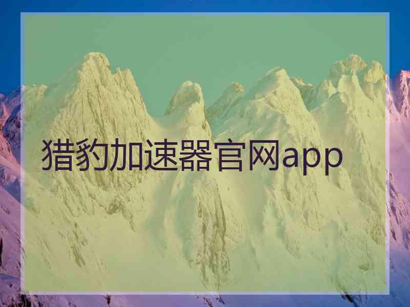 猎豹加速器官网app