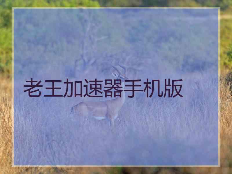 老王加速器手机版