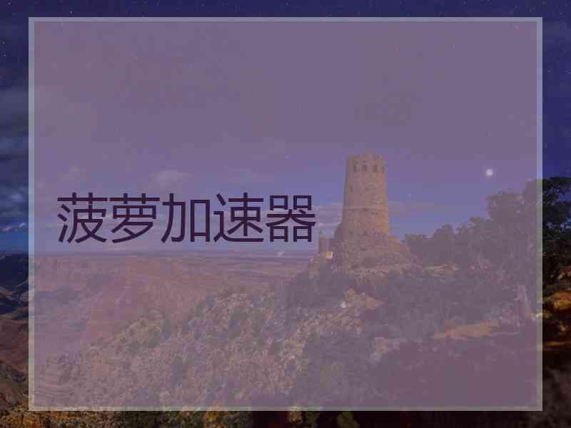 菠萝加速器