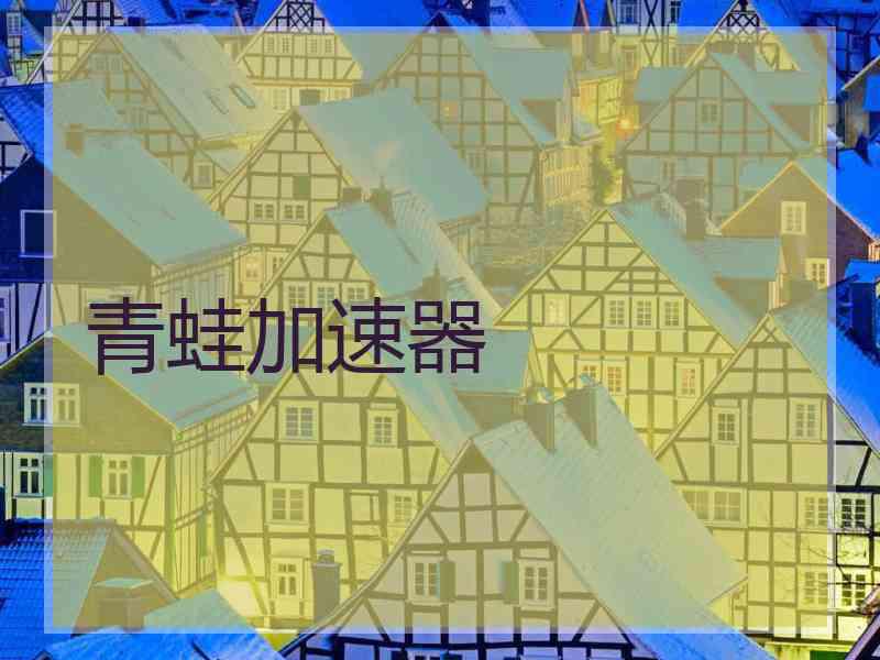 青蛙加速器