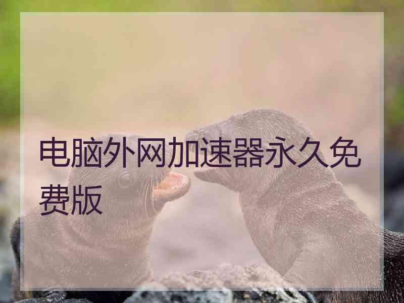电脑外网加速器永久免费版
