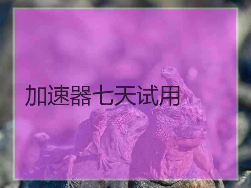 加速器七天试用