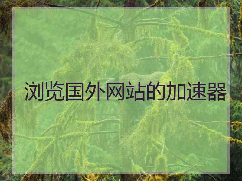 浏览国外网站的加速器