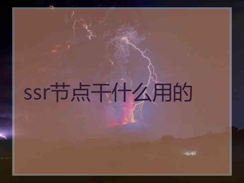 ssr节点干什么用的