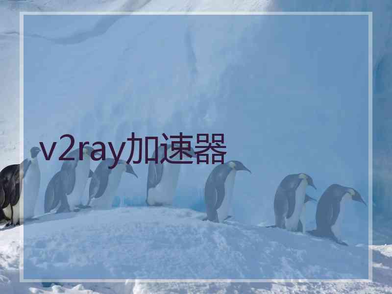 v2ray加速器