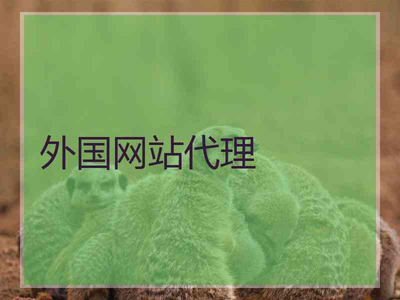 外国网站代理