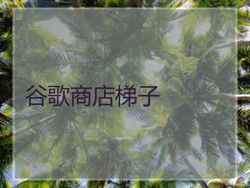 谷歌商店梯子