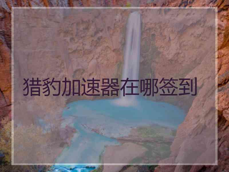 猎豹加速器在哪签到
