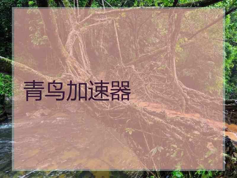 青鸟加速器