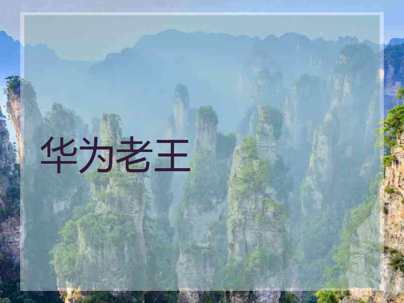 华为老王