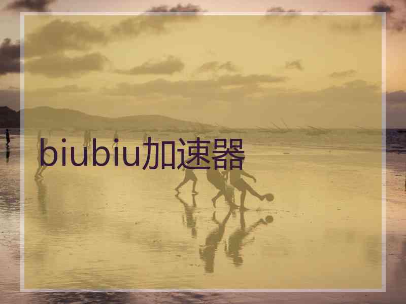 biubiu加速器