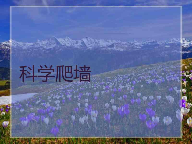 科学爬墙