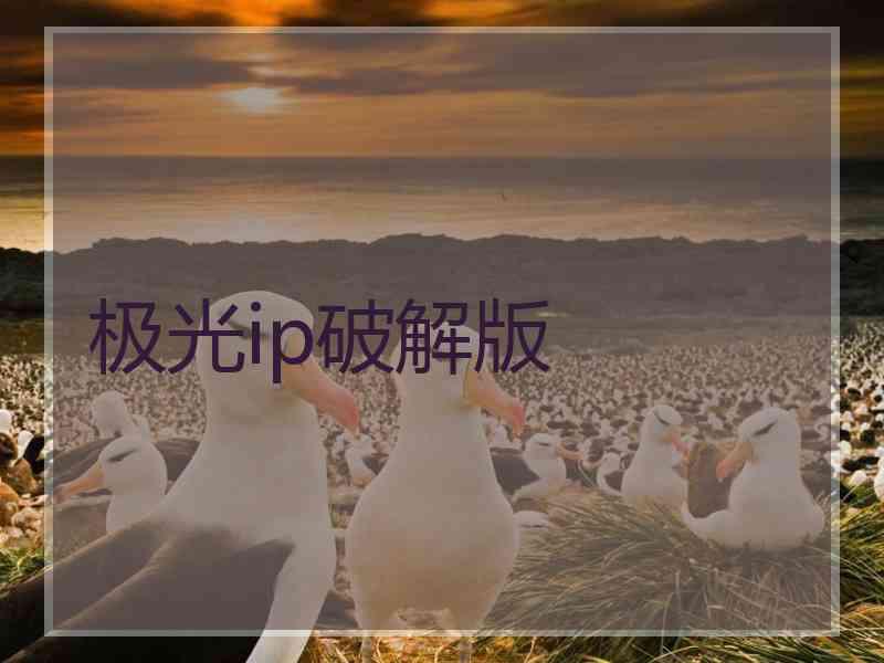 极光ip破解版