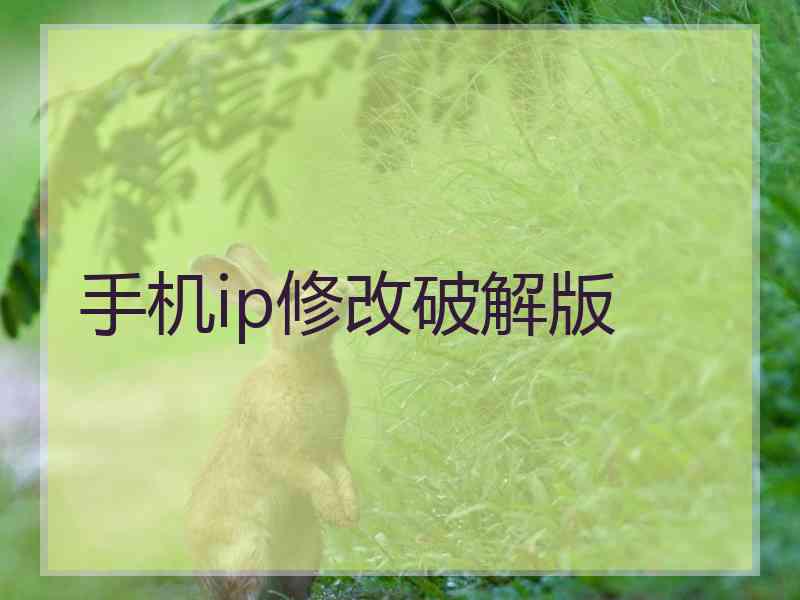 手机ip修改破解版