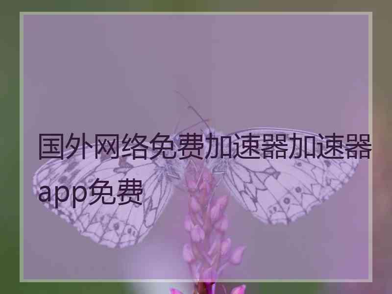 国外网络免费加速器加速器app免费