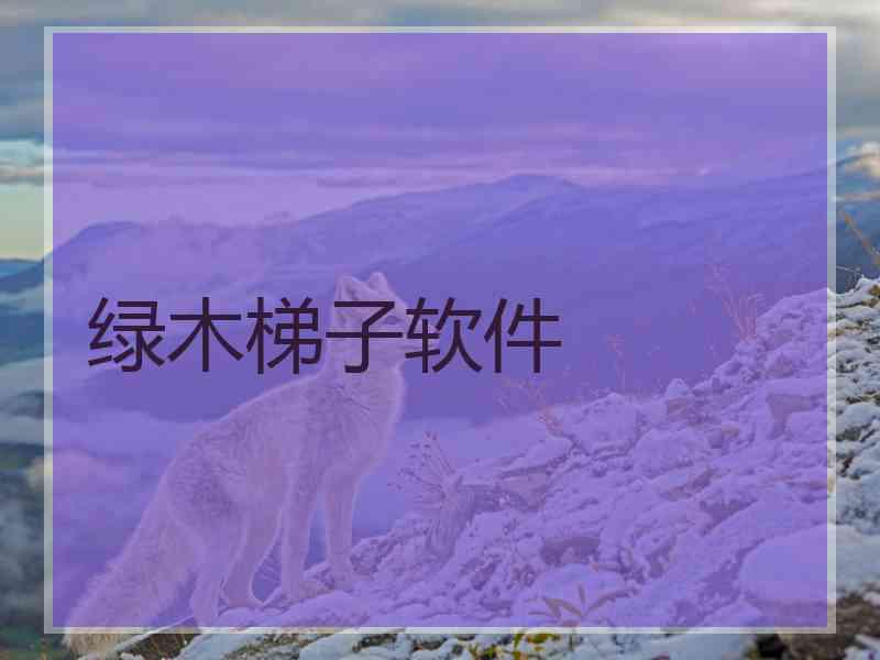 绿木梯子软件