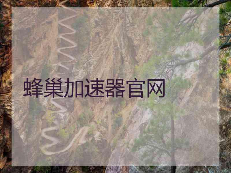 蜂巢加速器官网