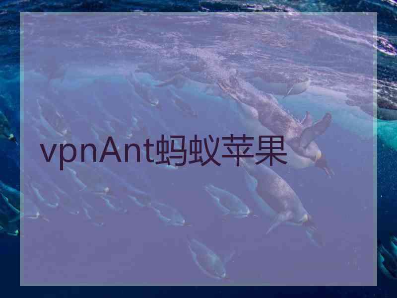 vpnAnt蚂蚁苹果
